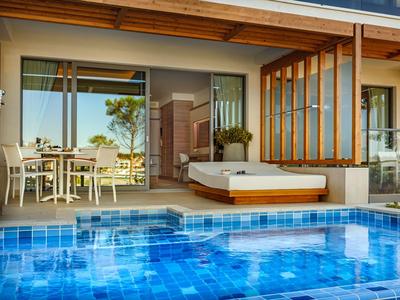Modern terrace area with dining table, sofa, and private pool with blue tiled floor.