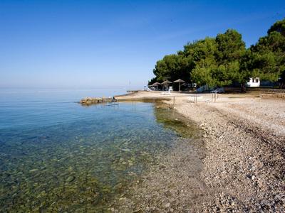 Playa de guijarros junto a mar tranquilo y claro con costa boscosa verde y cielo azul.