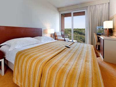 Hotelový pokoj s velkou postelí, jednoduchým zařízením a výhledem do přírody.