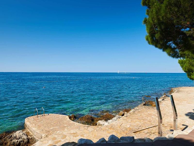 Czyste niebieskie morze z kamienistym brzegiem i zielonymi drzewami pod czystym niebem.