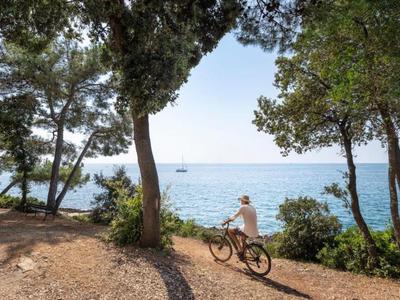 Personne à vélo sur un sentier forestier ombragé au bord de la mer.