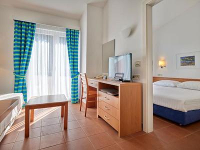 Chambre d'hôtel lumineuse avec lit double, télévision, mobilier en bois et rideaux à carreaux bleus.