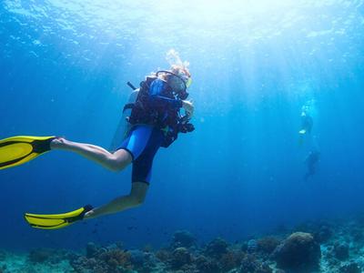 Duiker met gele vinnen verkent helderblauwe zee boven een koraalrif.