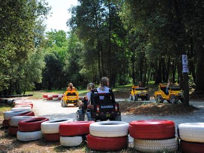 Personne conduisant sur une piste de karting entourée d'arbres et de pneus rouge-blancs