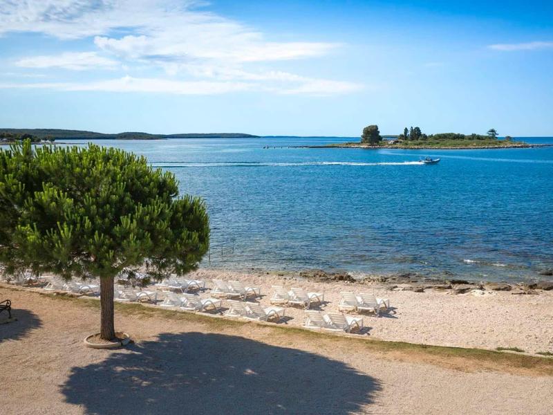 Pojedyncze drzewo stoi na skalistej plaży z widokiem na niebieskie morze pod jasnym niebem.