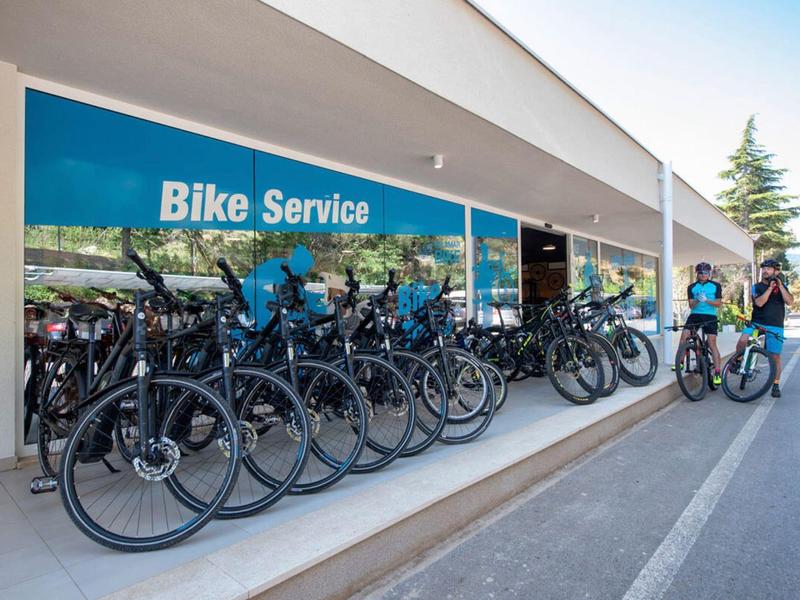 Alquiler de bicicletas con varias bicicletas bajo una zona cubierta junto a una acera.