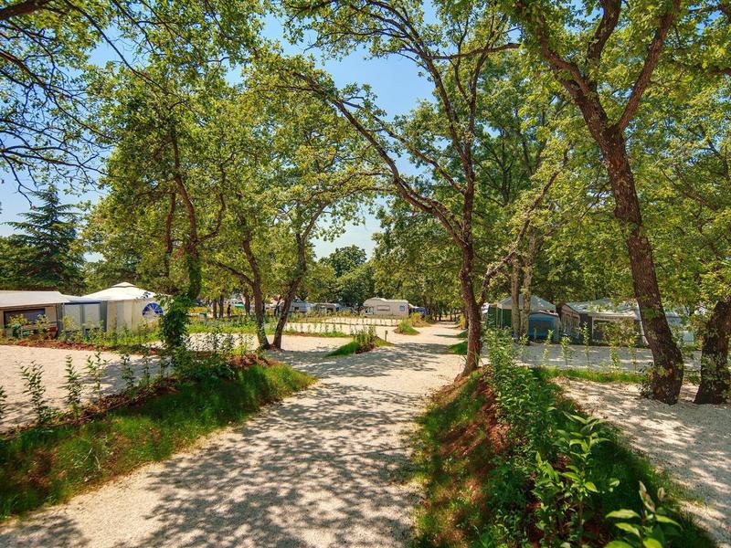 Cesta mezi stromy s bungalovy a slunečníky v zalesněné rekreační oblasti.