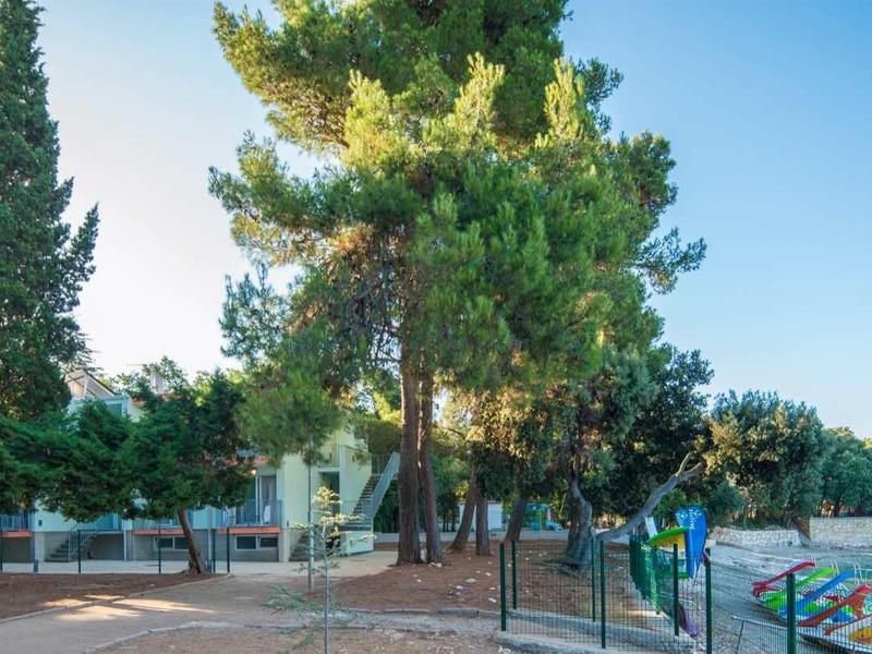 Ein Seeufer mit Bäumen, Kirch- und Spazierweg bei klarem Himmel und ruhigem Wasser.