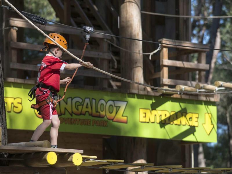 Dziecko w kasku i uprzęży na linowym torze przeszkód w lesie przy hotelu przygodowym