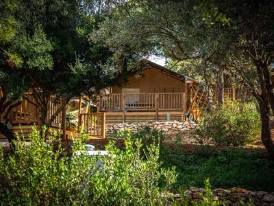 Dřevěná chata s verandou obklopená stromy a zelenou vegetací na slunci