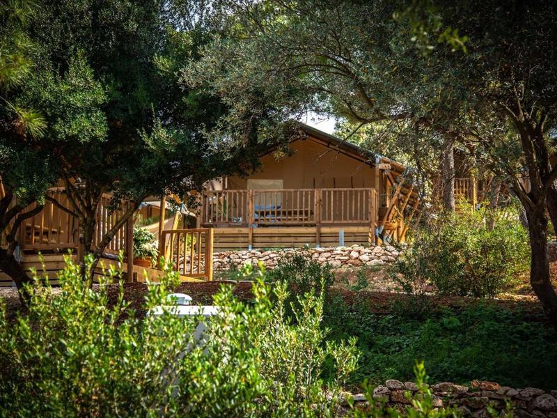 Drewniana chata z werandą otoczona drzewami i bujną roślinnością w naturalnym otoczeniu.