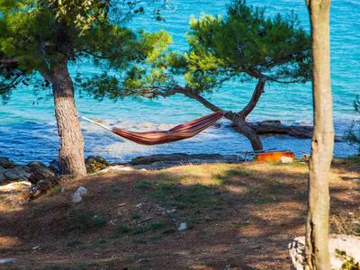 Un hamac suspendu entre deux arbres au bord de la mer avec une eau bleu clair.