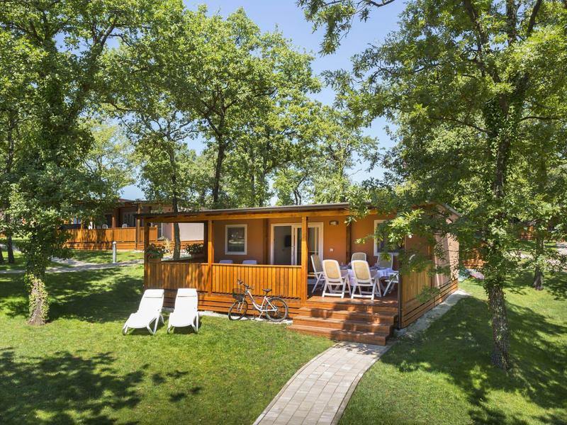 Cabaña de madera en un área de césped con sillas y árboles alrededor.