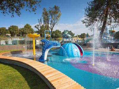 Area acquatica colorata con scivolo a delfino e giochi d'acqua, circondata da verde.