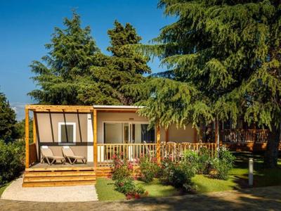Maison en bois avec terrasse et jardin sous des pins par une journée ensoleillée.