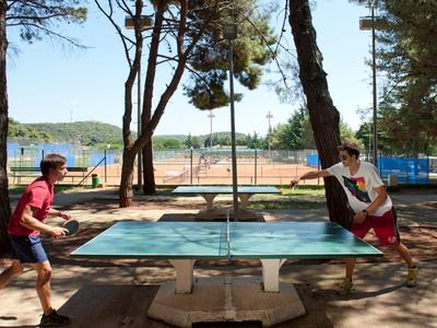 Deux hommes jouent au tennis de table en plein air entre des arbres avec des courts de tennis en arrière-plan.