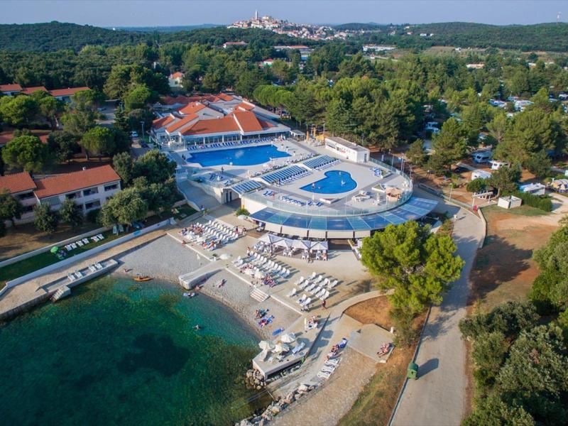 Large outdoor pool with sun loungers next to a lake in a green hotel area.
