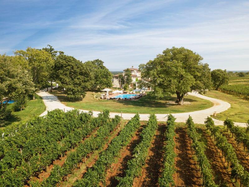 Winorośle na pierwszym planie, za nimi teren hotelowy z basenem, drzewami i budynkami pod niebieskim niebem.