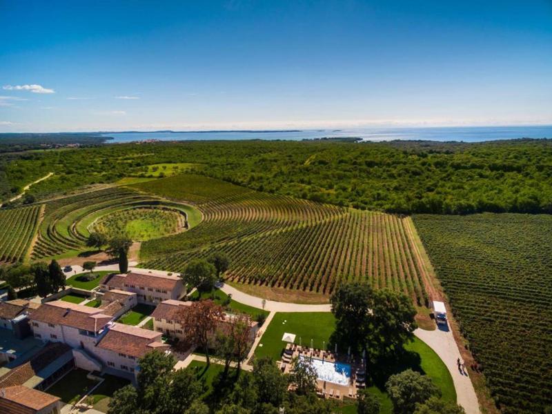 Widok na wioskę z winnicami i lasami pod niebieskim niebem.