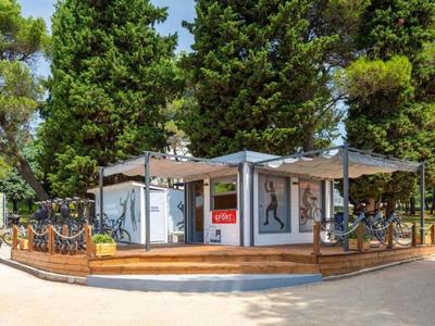 Nowoczesny budynek kanciasty z dużymi przeszkleniami, otoczony sosnami pod słonecznym niebem.