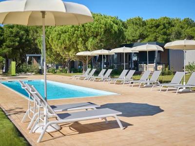 An outdoor pool with lounge chairs and umbrellas in front of green trees under a blue sky.