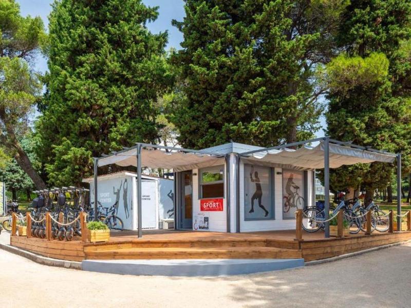 Nowoczesny budynek kanciasty z dużymi przeszkleniami, otoczony sosnami pod słonecznym niebem.