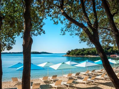 Plaża z leżakami i parasolami między drzewami nad czystym morzem pod słonecznym niebem