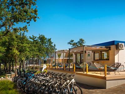 Willa z drewnianym tarasem i kilkoma rowerami obok ścieżki obsadzonej drzewami pod niebieskim niebem.