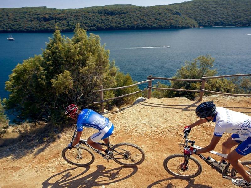 Dos ciclistas recorren un sendero con vistas a un lago y colinas boscosas.