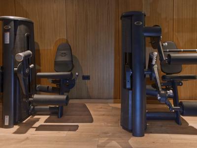 Modernes Fitnessgerät in einem Hotel-Fitnessraum mit Holzverkleidung und Holzboden.