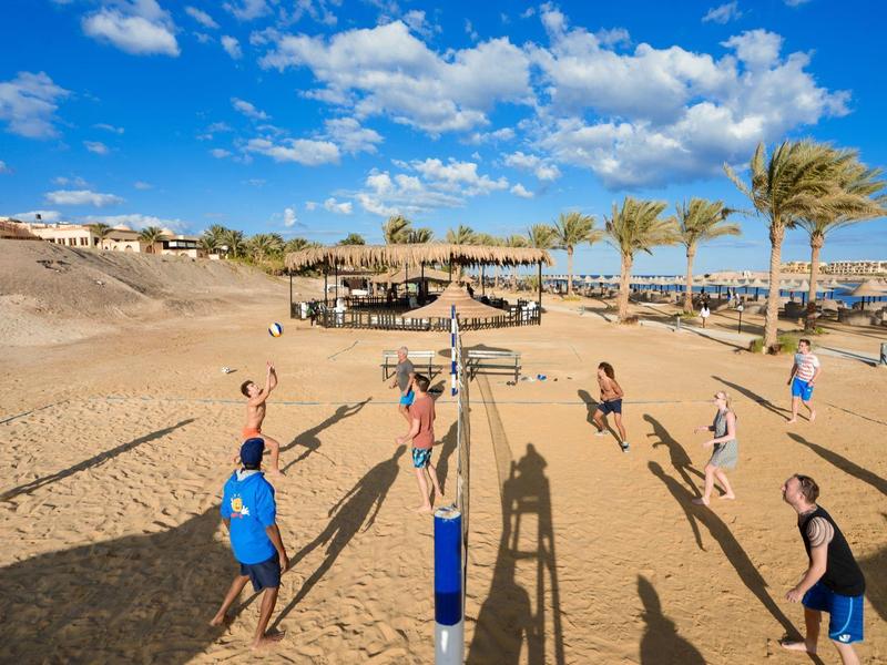 Ludzie grający w siatkówkę na piaszczystej plaży z palmami i niebieskim niebem.