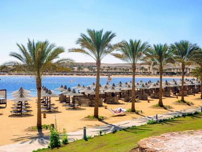 Plage avec palmiers et chaises longues le long du rivage d'une eau calme sous un ciel dégagé