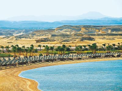 Una playa extensa con palmeras, tumbonas y colinas al fondo.
