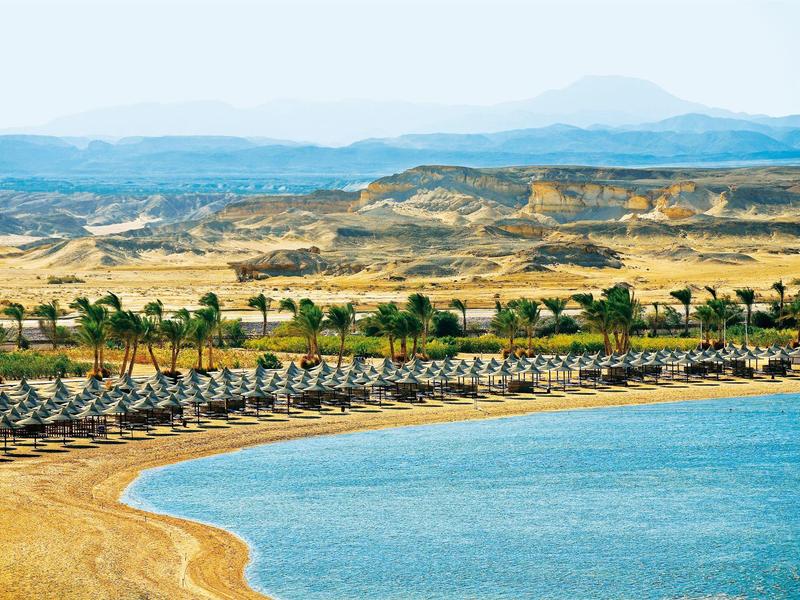 Playa soleada con filas de sombrillas y palmeras frente a colinas secas.