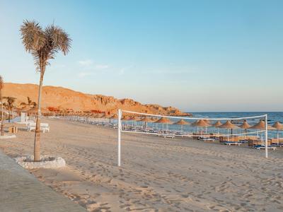 Plage calme avec sable, palmiers et filets sous un ciel bleu clair.