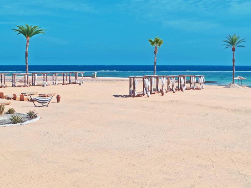 Spiaggia sabbiosa con palme e mare blu in una giornata di sole.