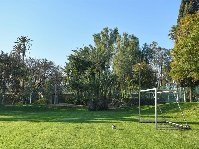 Zelené fotbalové hřiště s brankou a různými stromy v pozadí za slunečného dne