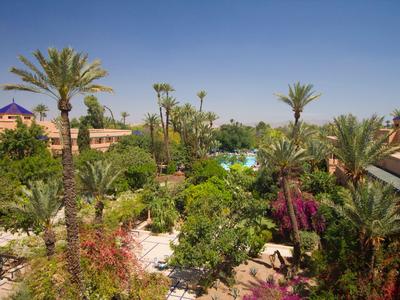 View of a hotel garden with palm trees and pool under a clear blue sky.