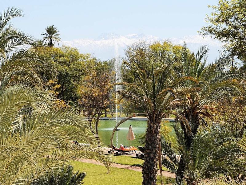 Zelený park s palmami, fontánou a klidnou tůní pod modrou oblohou.