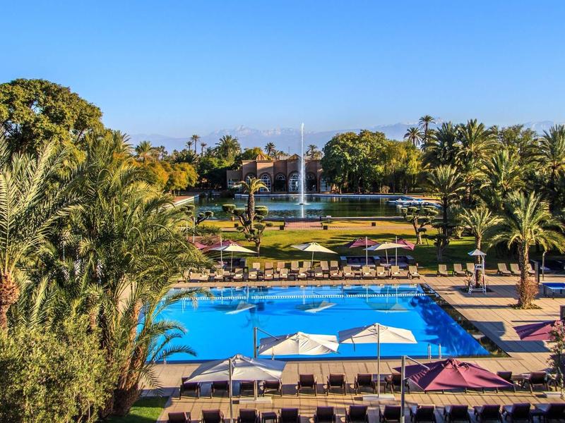 Velký hotelový bazén s lehátky a slunečníky, obklopený palmami a zelení.