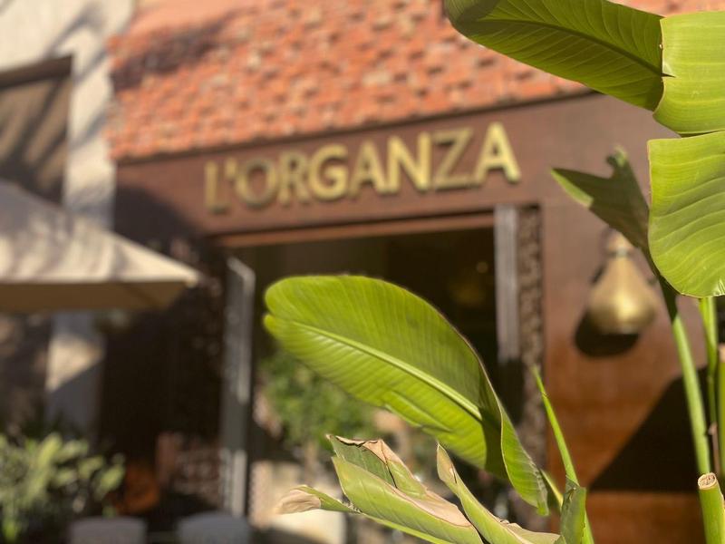 Primo piano di foglie verdi davanti all'ingresso dell'hotel L'Organza.