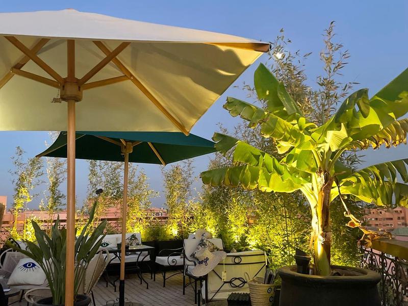 Ombrelloni e sedie su una terrazza con piante sotto un cielo limpido.