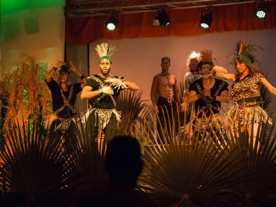 Tänzer in traditioneller Kleidung mit Federschmuck auf einer Bühne bei einer Aufführung.
