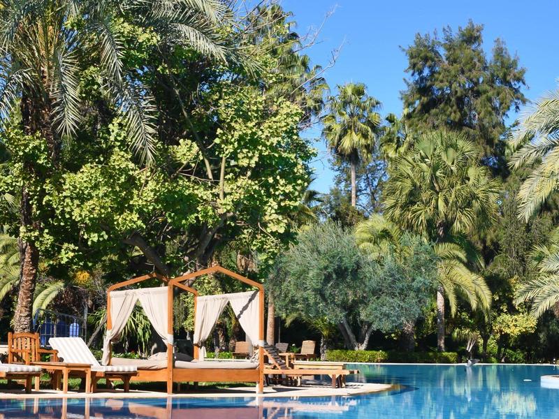 Espace piscine avec transats et lits à baldaquin, entouré de palmiers et ciel bleu clair.
