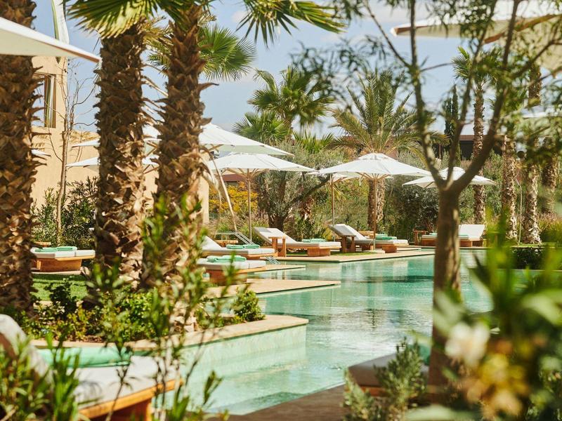 Luxurious pool area with palm trees and sun loungers in a sunny hotel setting.