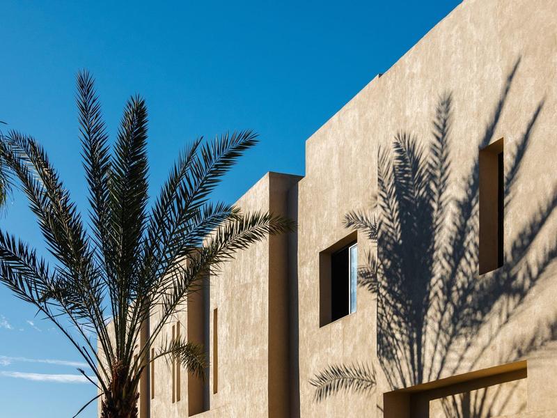 Façade d'immeuble moderne avec des palmiers et des ombres nettes par une journée ensoleillée.