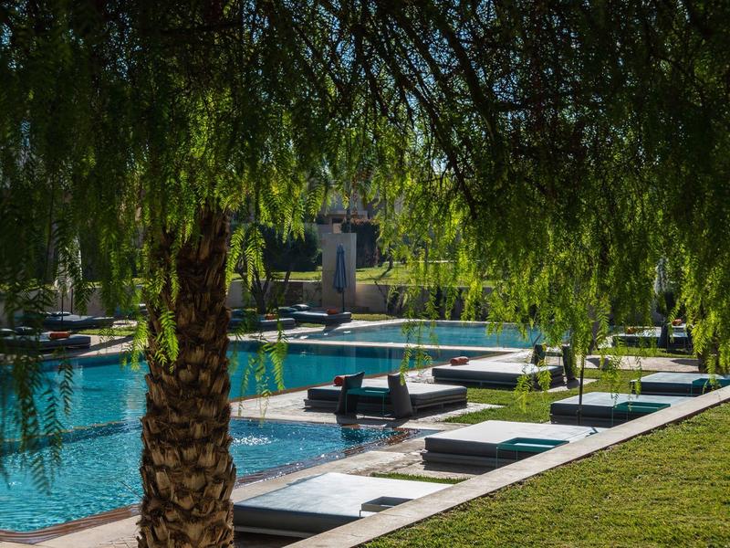 Piscine avec transats et ombres d'arbres sur la pelouse verte.