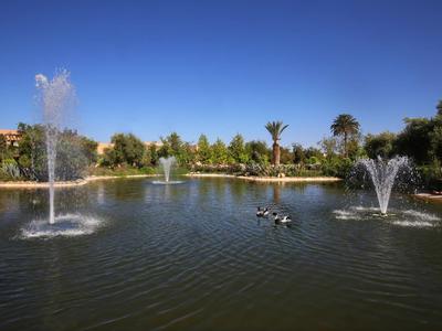 Rybník s fontánami a kachnami, obklopený stromy pod jasnou modrou oblohou.