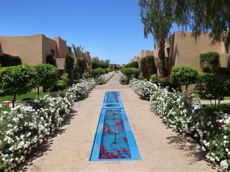 Dobře udržovaná zahradní cesta s květinami, keři a budovami pod jasnou modrou oblohou.