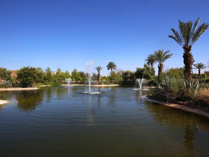 Velká tůň s fontánami, obklopená palmami pod jasně modrou oblohou.